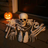 Skeleton bones decoration set with skull and limbs, white