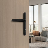 Black lever door handle set mounted on a door, no lock cylinder