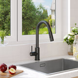Stainless steel kitchen faucet with single handle, black finish and arched spout