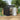 Lockable metal garden storage shed, flat roof, dark gray and light gray double doors, window vent