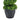 Artificial boxwood spiral topiary from above, dense green leaves on dark gray planter
