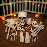 Skeleton bones decoration set with skull and ribs, white