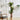 150cm artificial fern plant, green fronds on brown trunks, in a woven pot