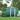 Dark green metal garden storage shed with front door panel and two roof vents