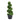 Artificial boxwood spiral topiary in dark gray pot, full dark-green leaf clusters