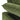 #color_green