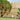 Wood garden fence gate with horizontal slat panels and sturdy frame