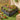 Heart-shaped black galvanized steel raised garden bed with colorful flowers and soil