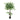 Artificial banyan tree in black pot with lush green faux leaves on twisted trunk