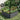 Black galvanized steel raised garden bed filled with assorted green and red plants