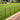 10-pack decorative metal garden fence panels, black vertical bars with curved top