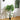 Artificial banyan tree in black pot with lush green leaves on braided brown trunk