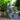 4-tier cascading garden water fountain with three bowls, solar panel, and flowing water