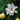Artificial silver poinsettia flower ornament with glitter petals and ornament baubles