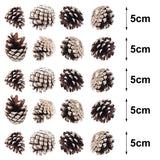 Assorted pine cone ornament sizes shown on a 5 cm scale, brown and white-painted
