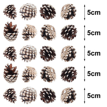 Assorted pine cone ornament sizes shown on a 5 cm scale, brown and white-painted
