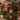 Red wooden hanging ornaments on evergreen branches: heart, ginger man, barn, star