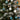 Christmas ball ornaments on fir branches: blue, white, and silver textured baubles