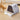 Large enclosed house-shaped cat litter box with oval entry, white base and dark top.