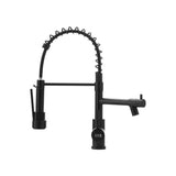 Stainless steel kitchen faucet in black, pull-down spray arm with tall gooseneck