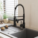 Black kitchen faucet with pull-down sprayer and spring-coiled hose