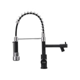 Stainless steel kitchen faucet in Chrome with black pull-down sprayer and arched hose