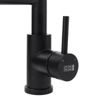Kitchen faucet control handle and spout assembly, dark matte finish
