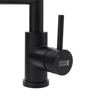 Kitchen faucet control handle and spout assembly, dark matte finish