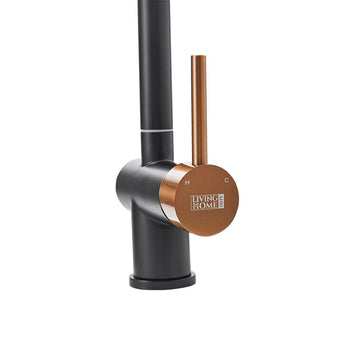 Close-up of black single-handle faucet with gold-toned round control and vertical stem