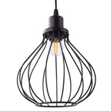 Black wire globe pendant shade with visible Edison-style bulb