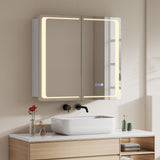 Double-door LED bathroom mirror cabinet with bright illuminated frame and touch panel