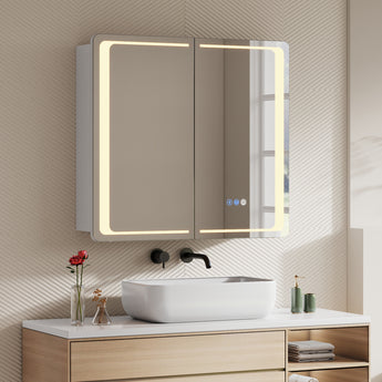 Double-door LED bathroom mirror cabinet with bright illuminated frame and touch panel