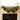 Christmas garland swag with green foliage, gold baubles, pinecones, and Merry Christmas sign