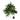 Artificial Christmas tree urn filler with green branches, red berries, gold accents and string lights