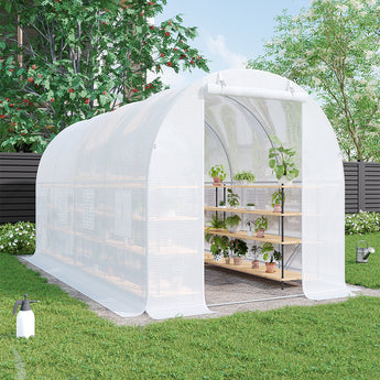 White walk-in greenhouse with PE cover and open front door, steel frame, plant shelves visible