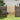 Wooden garden gate with arched top slats and diagonal brace between side posts