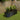 Oval raised garden bed planter in black with ribbed sides, holding flowering plants