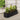 Black oval raised garden bed, ridged galvanized steel planter with plants and flowers