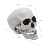 Plastic skull tabletop decoration, 22 cm long and 15 cm wide, side view