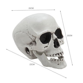Plastic skull tabletop decoration, 22 cm long and 15 cm wide, side view