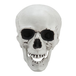White plastic skull tabletop ornament, front view with teeth and dark eye sockets