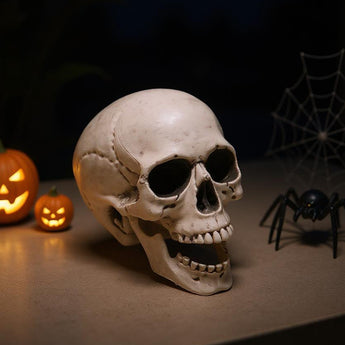 Realistic plastic skull tabletop decoration, open-mouthed with dark eye sockets