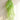 Artificial hanging ivy vines with dense trailing light-green leaf stems