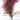 Artificial hanging ivy plant wall decor with bunch of pink faux buds and stems