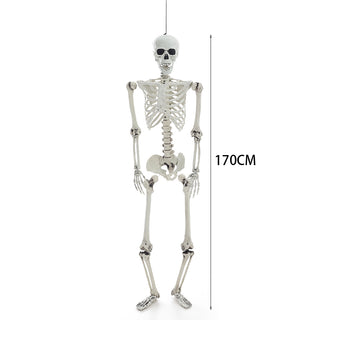 Ganzkörper-Skelett-Deko, 170 cm Höhe, posierbare Gelenke, stehende Form