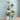 White wooden plant display stand with 5 shelves for potted plants