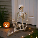 Halloween skeleton prop, poseable full-body skeleton with bent arms and legs; white bones