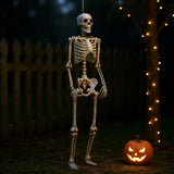Halloween standing skeleton prop with poseable joints, arms hanging; white articulated frame