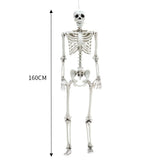160 cm skeleton prop, full-body poseable joints; white articulated skeleton model