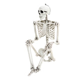 White skeleton prop close-up with poseable joints; skull and ribcage visible